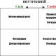 Inside we will conduct swot analysis table 4