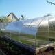 How to open a greenhouse production business?