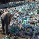 Plastic bottle recycling: technology and equipment